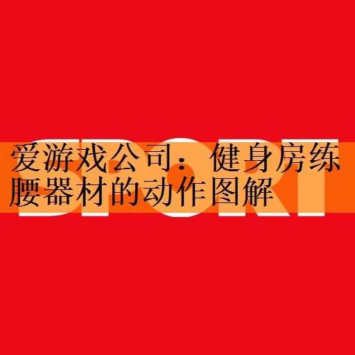 <strong>爱游戏公司：健身房练腰器材的动作图解</strong>