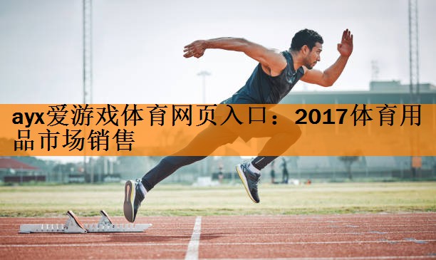 2017体育用品市场销售